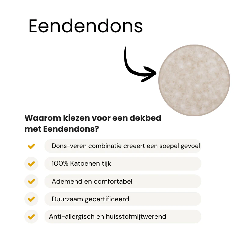 Productafbeelding 5